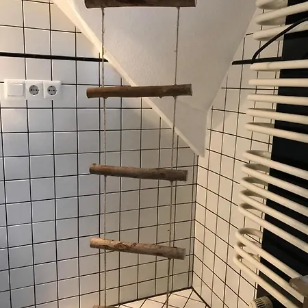 Gemutliches Daire Halle (Westfalen)